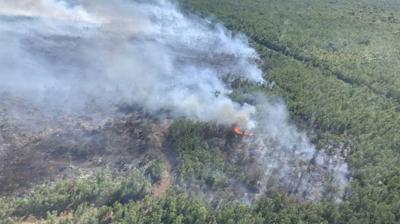 Wetland fire