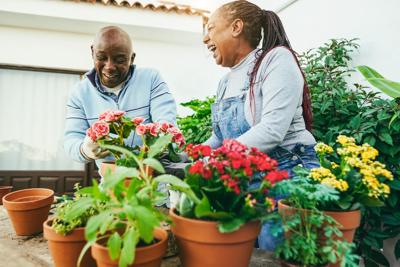 SpringGardening (sponsored)